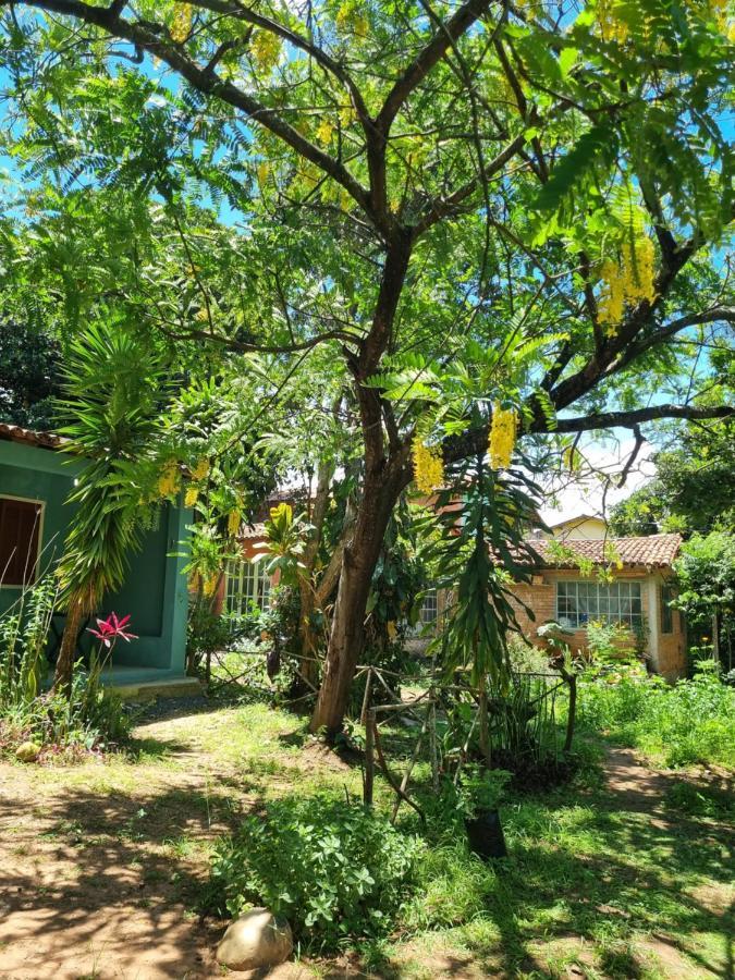 Vila Das Acacias Vale do Capao Buitenkant foto